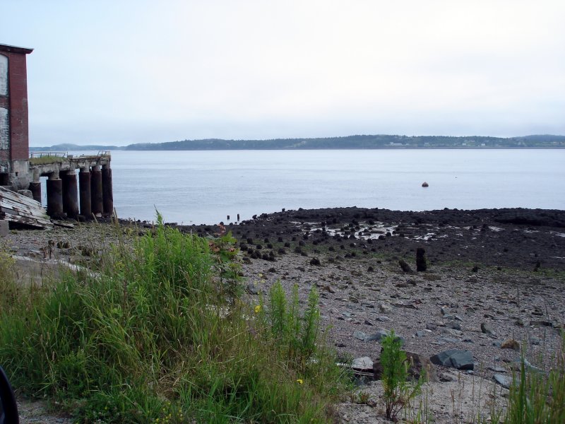 eastport-low-tide.jpg eastport-low-tide.jpg
